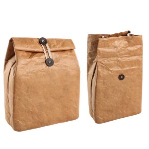 Waterproof Insulated Kraft Paper Lunch Bags With 2 Buckles