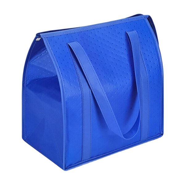 Large Reusable Insulated Grocery Bag