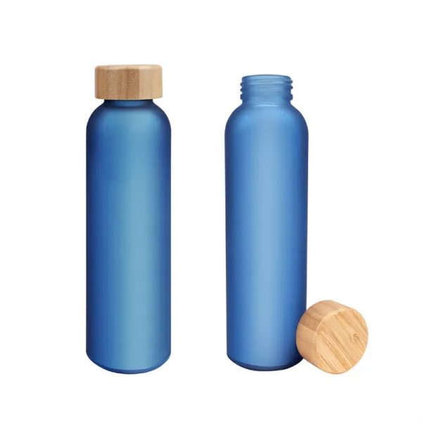 17oz Borosilicate Glass Water Bottle with Bamboo Lid