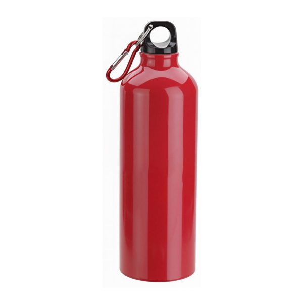 25oz Aluminum Water Bottle with Carabiner Clip