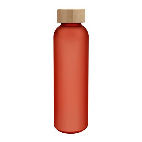 17oz Borosilicate Glass Water Bottle with Bamboo Lid