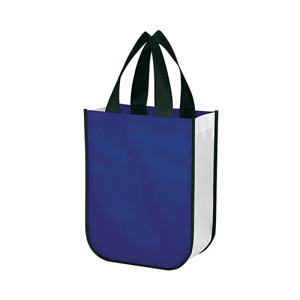 Reusable Eco Friendly Laminated Non-Woven Shopping Tote Bag
