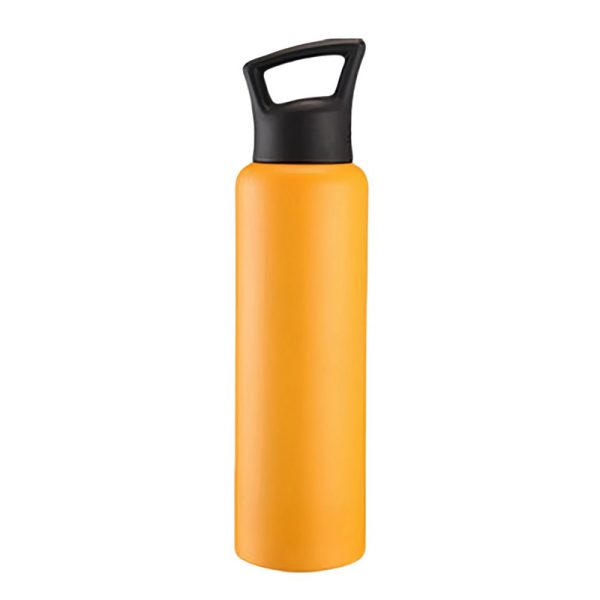 Stainless Steel Insulated Sports Water Bottle with Carry Lid