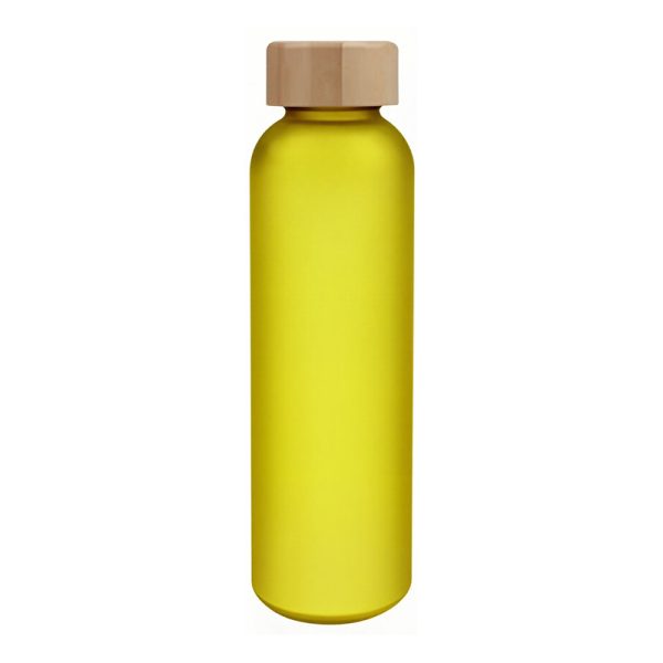 17oz Borosilicate Glass Water Bottle with Bamboo Lid
