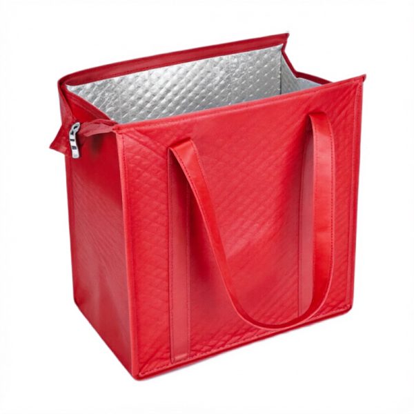 Large Reusable Insulated Grocery Bag