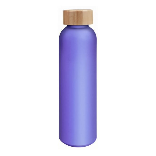 17oz Borosilicate Glass Water Bottle with Bamboo Lid